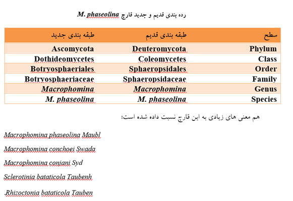 رده بندی قدیم و جدید قارچ M. phaseolina