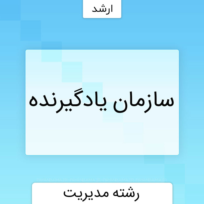 سازمان یادگیرنده